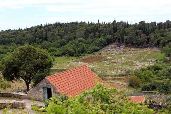 Močići - photo 3