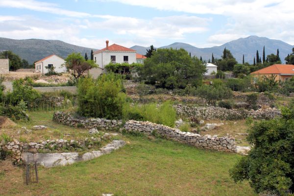 Močići - photo 5