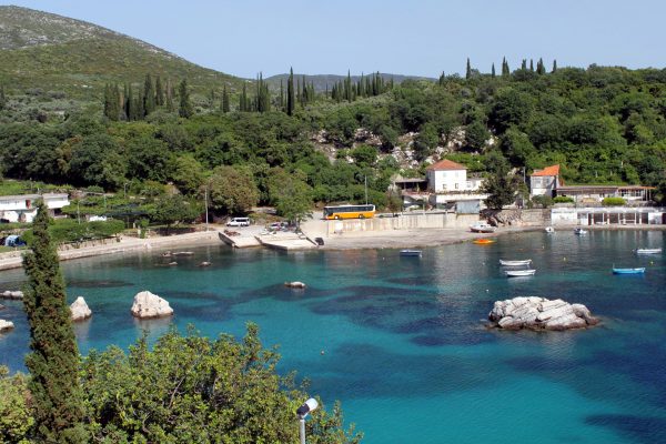 Molunat