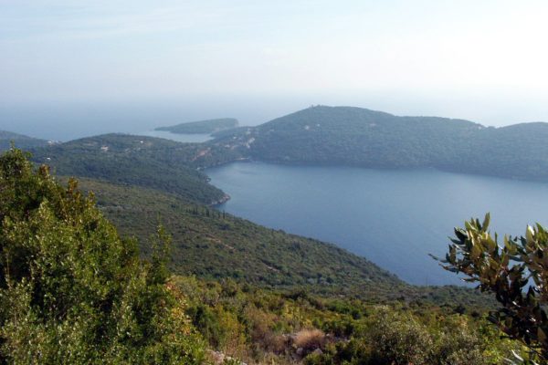 Molunat - photo 4
