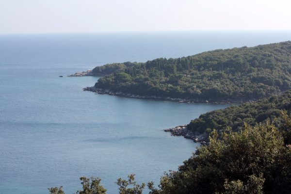Molunat - photo 8