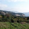 Orašac - photo 10