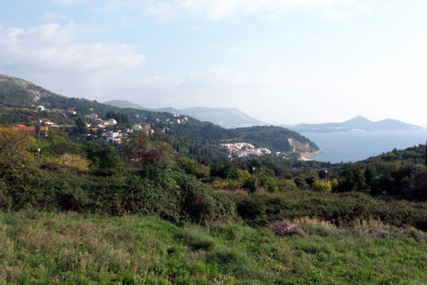 Orašac - photo 10