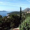 Orašac - photo 9
