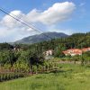 Popovići - photo 11