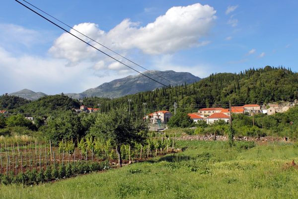 Popovići - photo 11