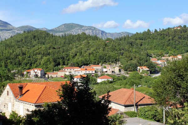 Popovići - photo 12