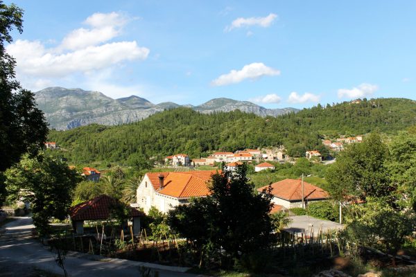 Popovići - photo 2