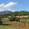 Popovići - photo 5