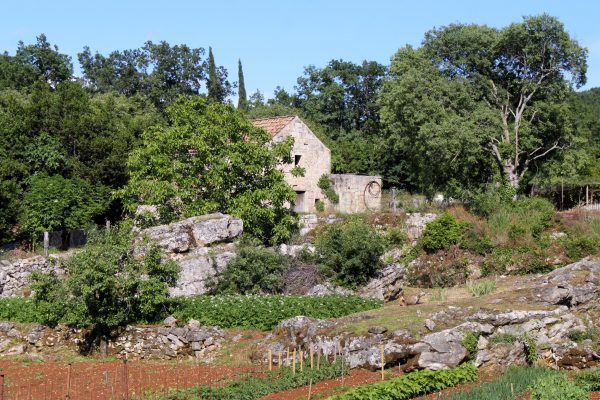 Popovići - photo 6