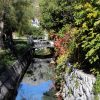 Slano - photo 11