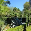 Trsteno - photo 11