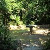 Trsteno - photo 13