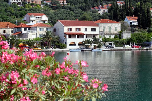 Zaton Mali - photo 4