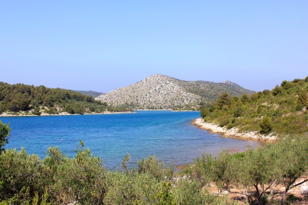 Dragnjevica – Telašćica - photo 2