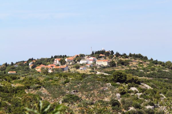 Dragove - photo 4