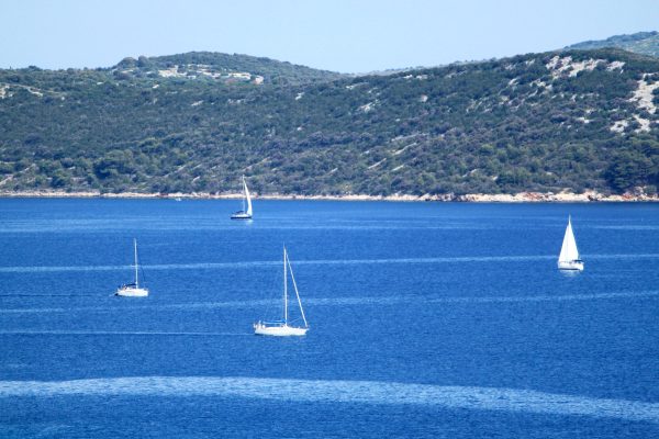 Dragove - photo 8