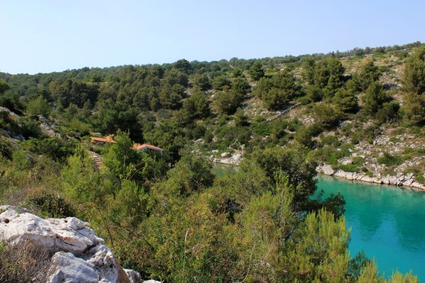 Dumboka - photo 2