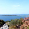 Krknata - photo 1