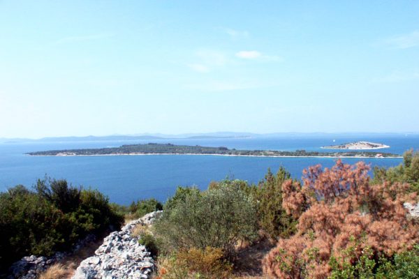 Krknata - photo 1