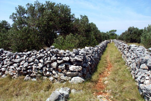 Lavdara - photo 10