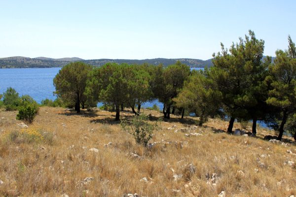 Lavdara - photo 14