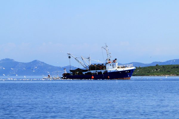 Lavdara - photo 18