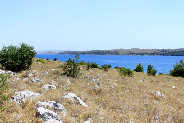 Lavdara - photo 8