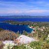 Luka - photo 14