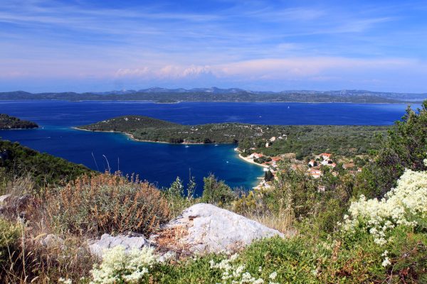 Luka - photo 14