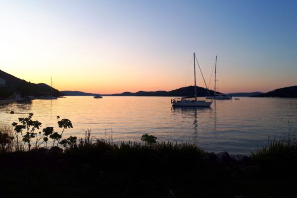 Luka - photo 15