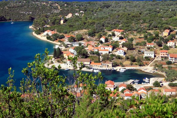 Luka - photo 3
