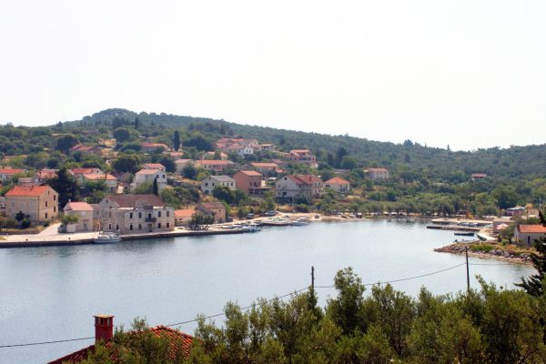 Luka - photo 4