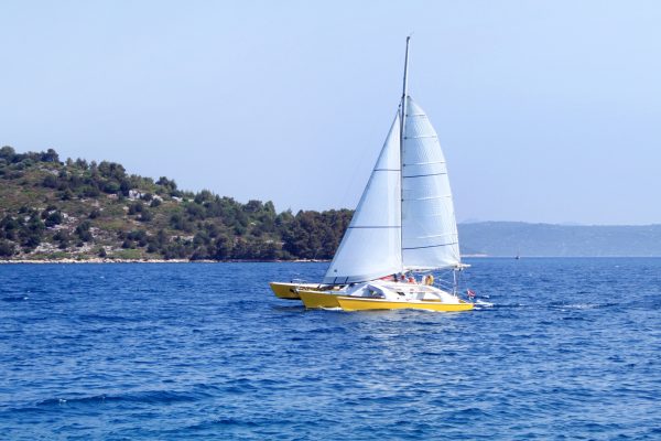 Luka - photo 9