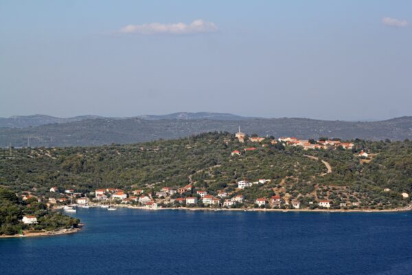 Rava - photo 2