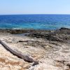 Ripišće - photo 3