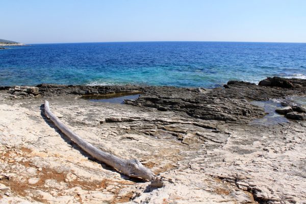 Ripišće - photo 3