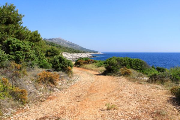 Ripišće - photo 5