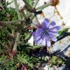Ripišće - photo 6