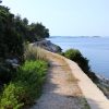 Sali - photo 10