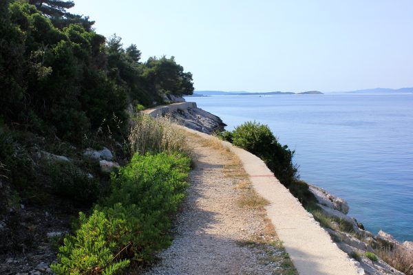 Sali - photo 10