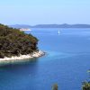 Sali - photo 11
