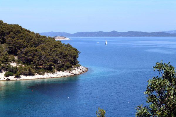 Sali - photo 11