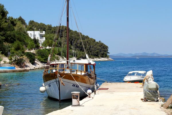 Sali - photo 12