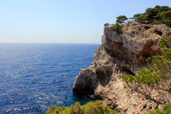 Sali - photo 23