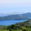 Sali - photo 26