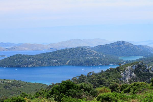 Sali - photo 26