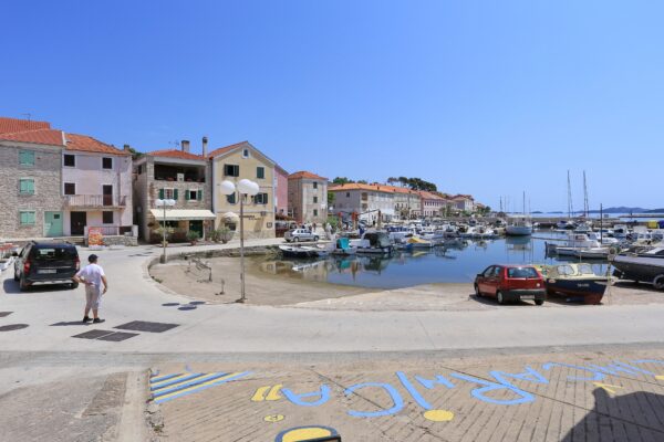 Sali - photo 4