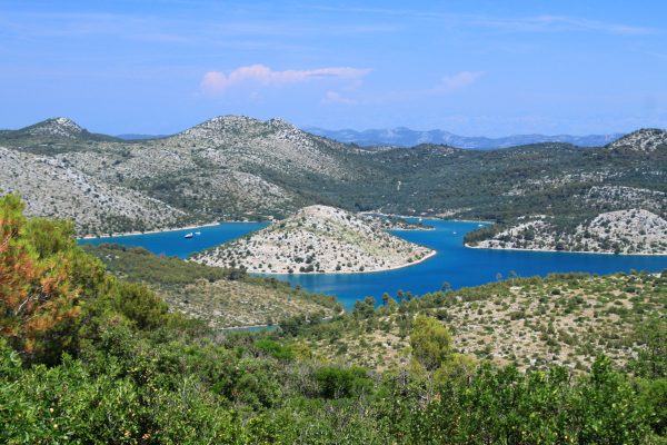 Sali - photo 42