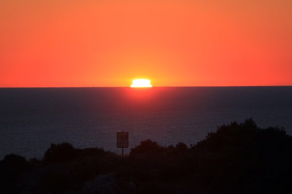 Sali - photo 54